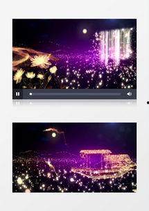 古典视频素材,古典视频素材中的历史印记