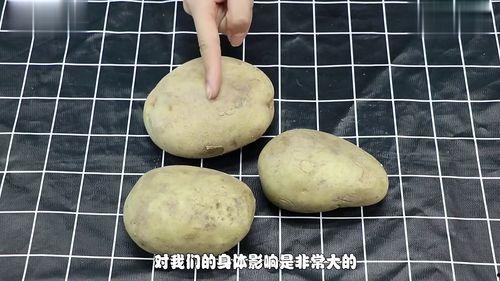 马铃薯视频